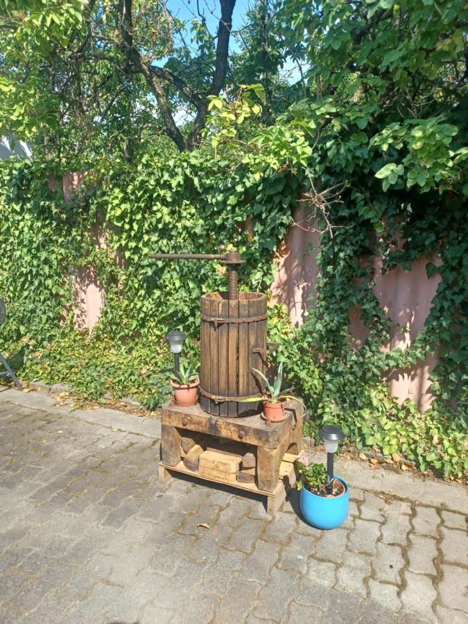 Eva Apartmanhaz Penzión pre hostí Eger